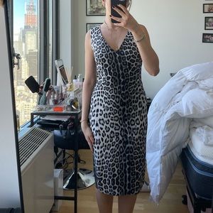 Roberto Cavalli dress panther print — never been worn
